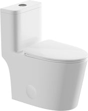 Load image into Gallery viewer, 12 in Rough-In 1-Piece, 0.9/1.3 GPF Dual Flush Elongated Toilet in White Ceramic with Soft-Close Seat 17.13 in Height