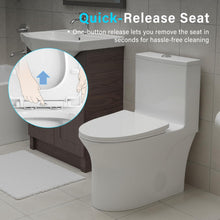Load image into Gallery viewer, 12 in Rough-In 1-Piece, 0.9/1.3 GPF Swirl Flush Elongated Toilet in White Ceramic with Soft-Close Seat 16.54 Height
