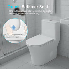 Load image into Gallery viewer, 12 in Rough-In 1-Piece, 0.9/1.3 GPF Swirl Flush Elongated Toilet in White Ceramic with Soft-Close Seat

